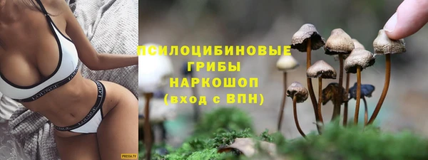 скорость Алзамай