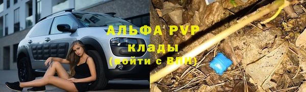 тгк Алексин